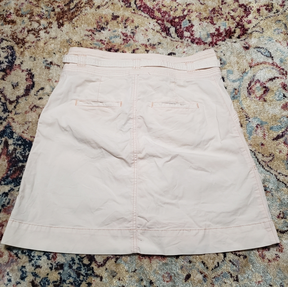 Anthropologie Pilcro and the Letterpress Pale Peach Skirt Sz 8 - Picture 2 of 11